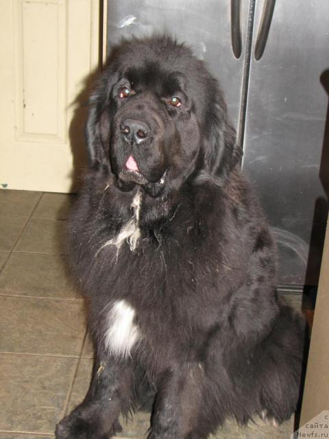 Фото: Castanewf''s In Reality