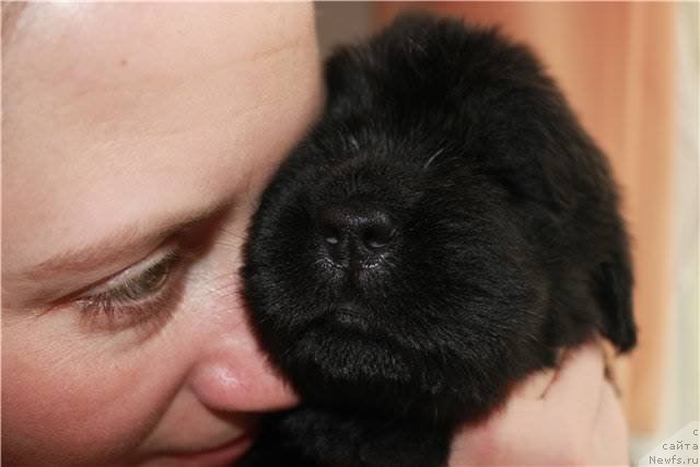 Фото: Наталья Селезнева