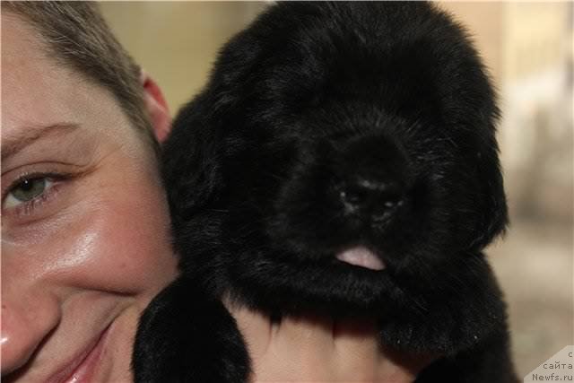 Фото: Наталья Селезнева