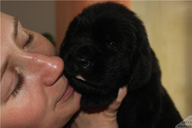 Фото: Наталья Селезнева