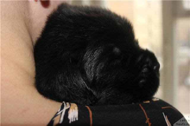 Фото: Наталья Селезнева