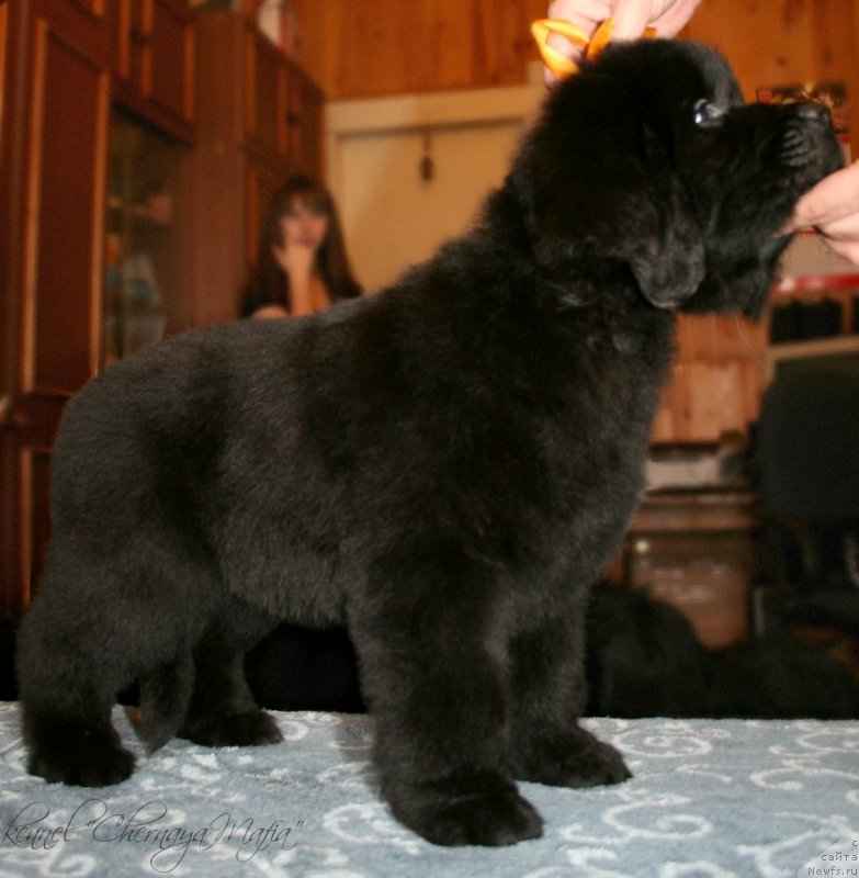 Фотография № 123364