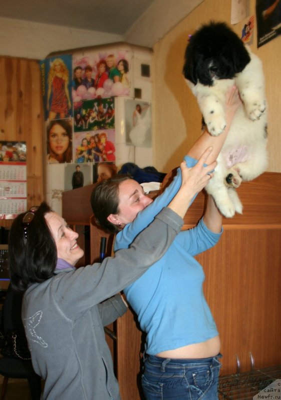 Фотография № 123385