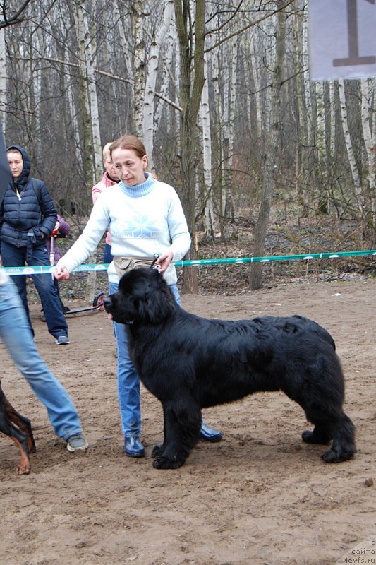 Фотография № 123392