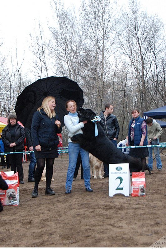 Фотография № 123394