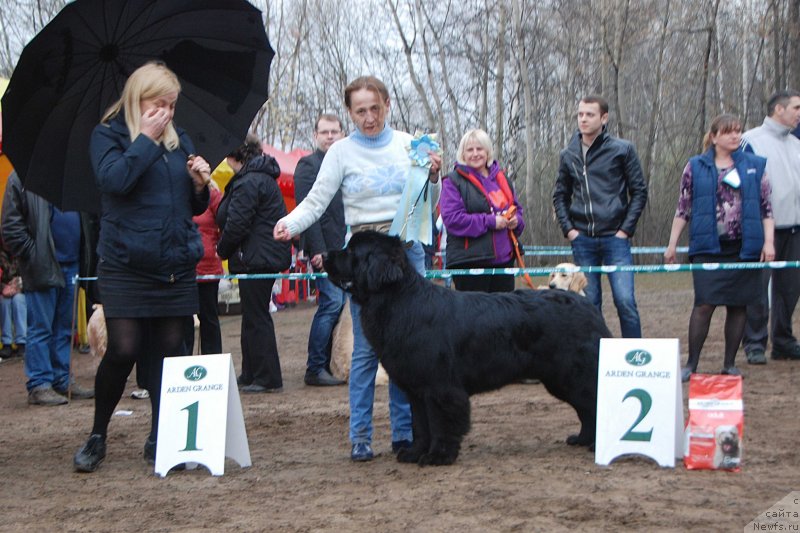 Фотография № 123395