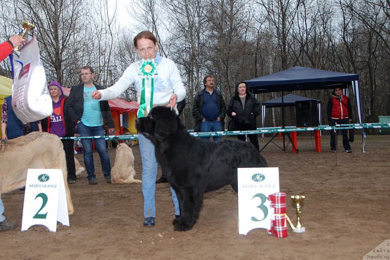 Фотография № 123396