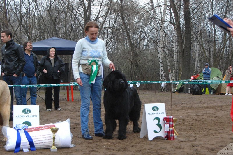 Фотография № 123397