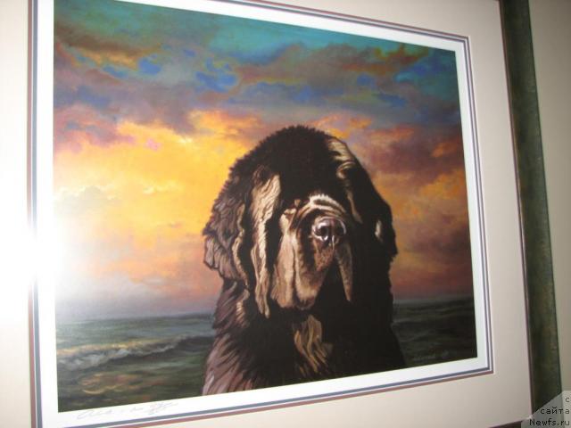 Фотография № 12343