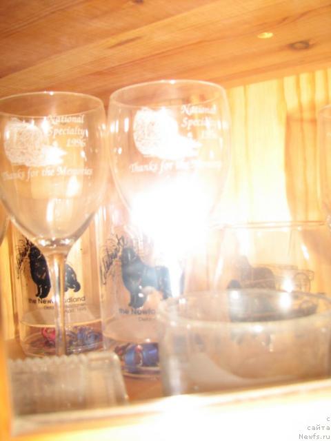 Фотография № 12350