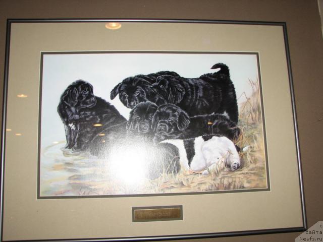 Фотография № 12352