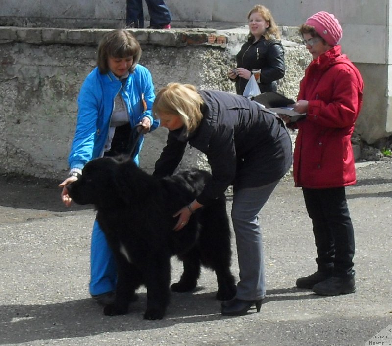 Фотография № 123522