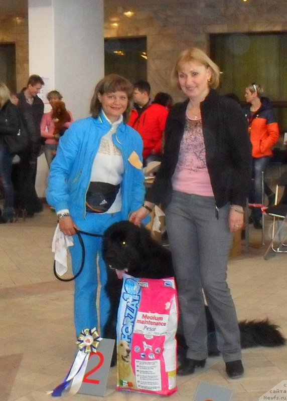 Фотография № 123523