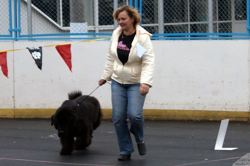 Фотография № 123528