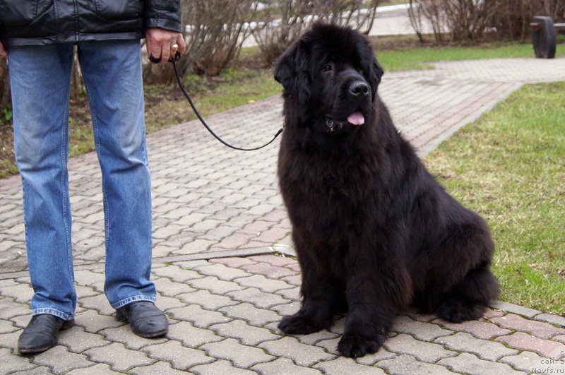 Фотография № 123532