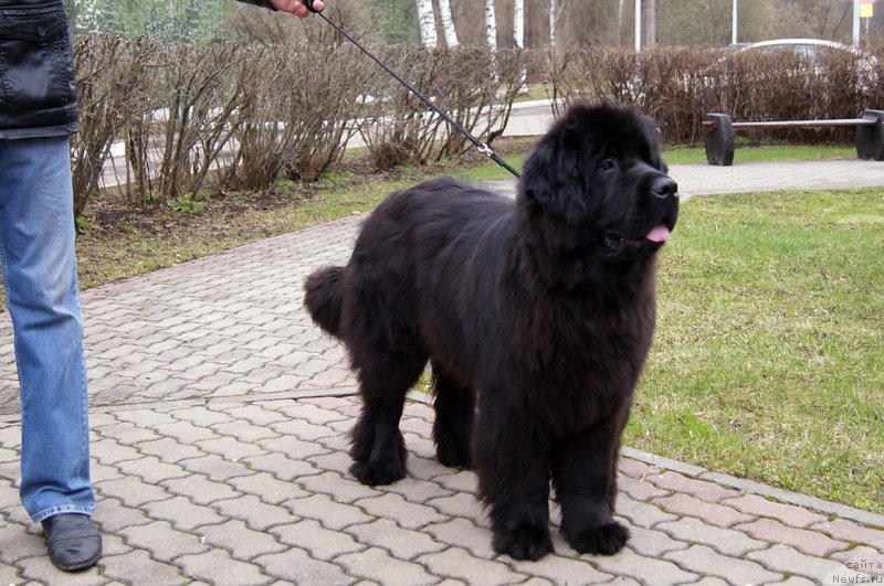 Фотография № 123533