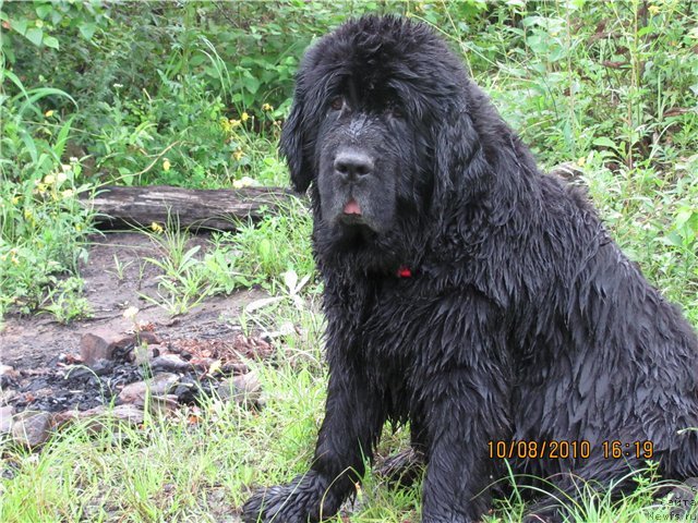 Фотография № 123615