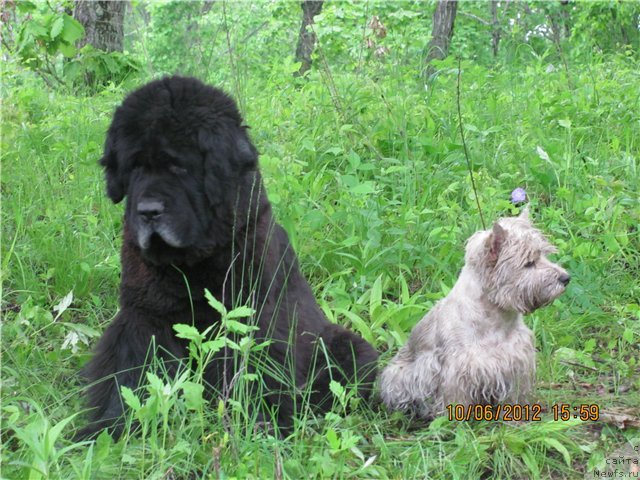 Фотография № 123616