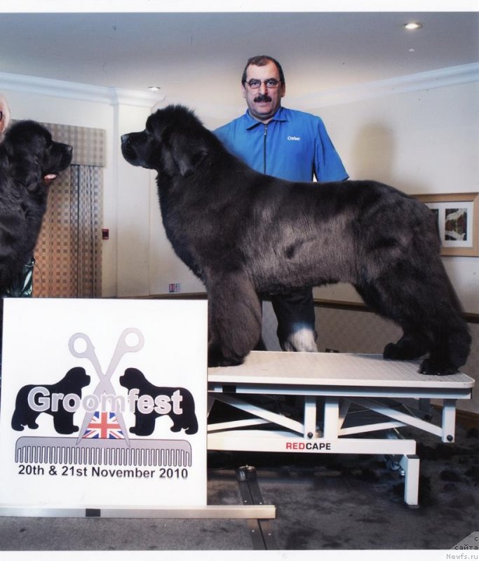 Фотография № 123620