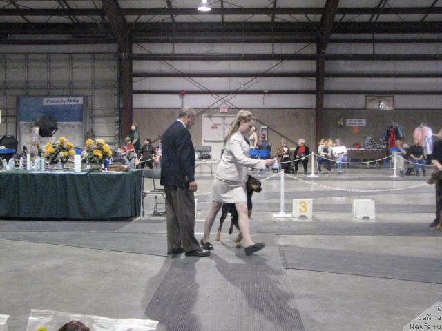 Фотография № 12367