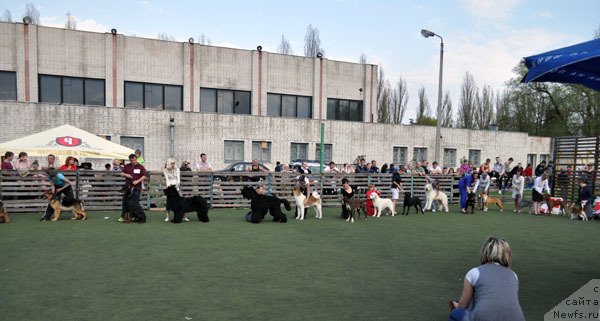 Фотография № 123687