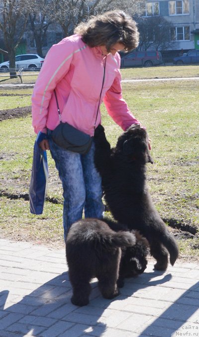 Фото: Бегущая по волнам Екстра Спешиал Едишион