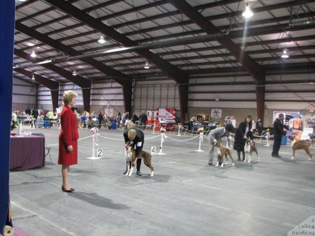 Фотография № 12371