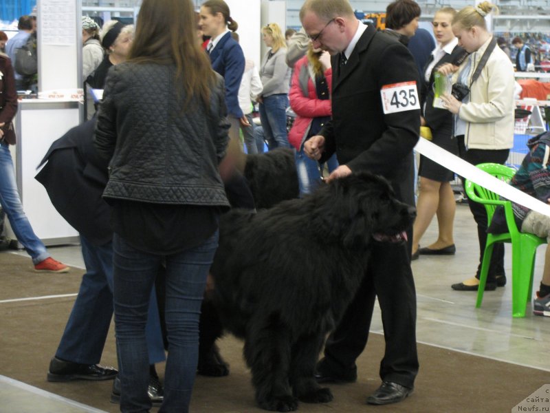 Фотография № 123718