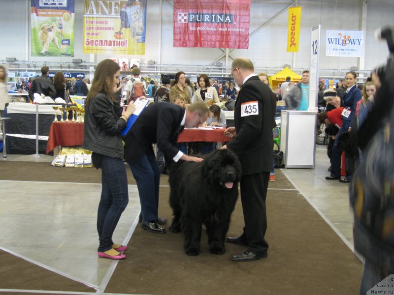 Фотография № 123720