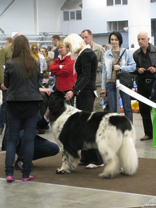 Фотография № 123724