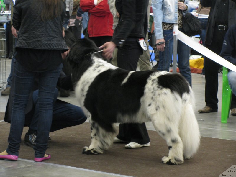 Фотография № 123725