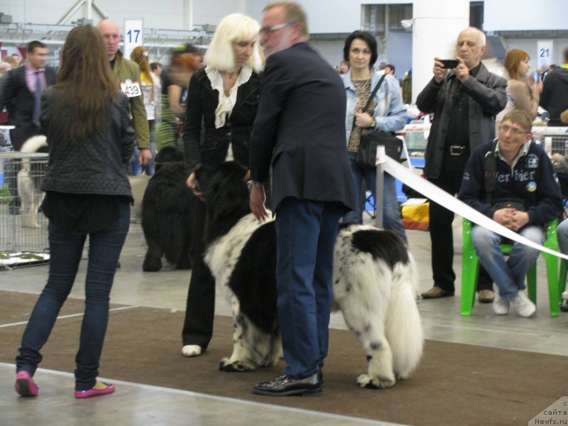 Фотография № 123726