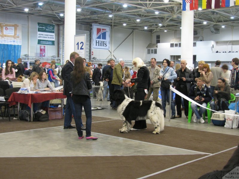 Фотография № 123727