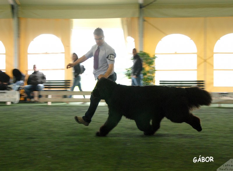 Фотография № 123731