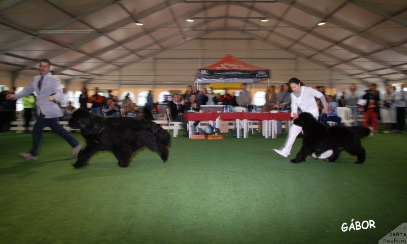 Фотография № 123732