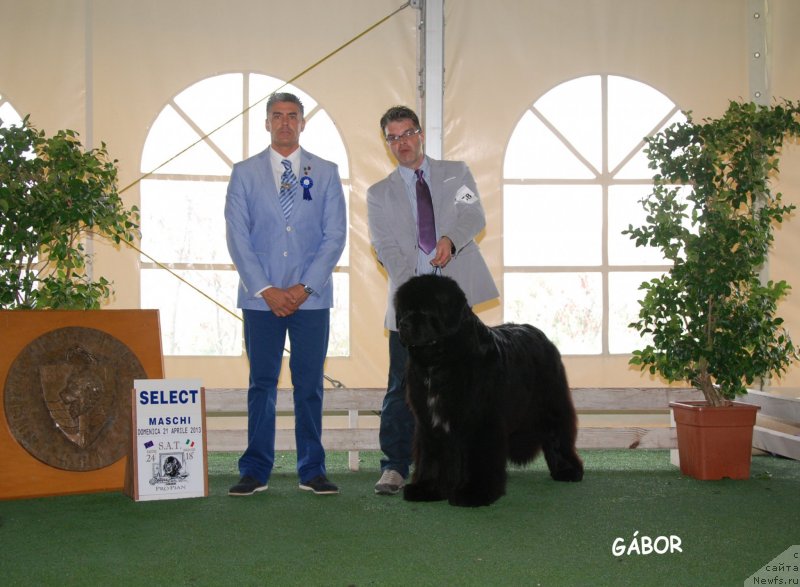 Фотография № 123733