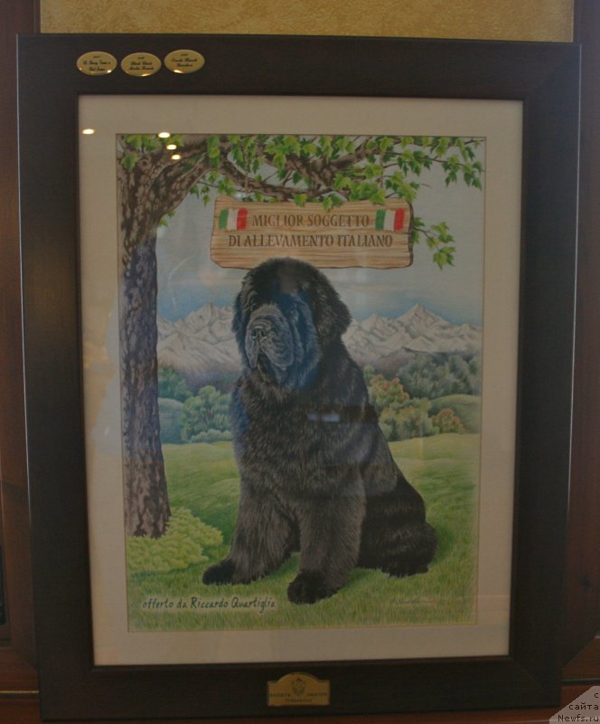 Фотография № 123734