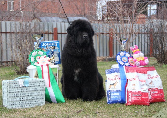 Фотография № 123735