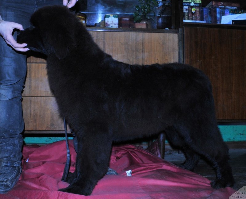 Фотография № 123750