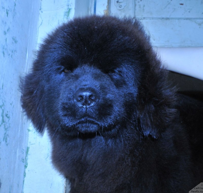 Фотография № 123752