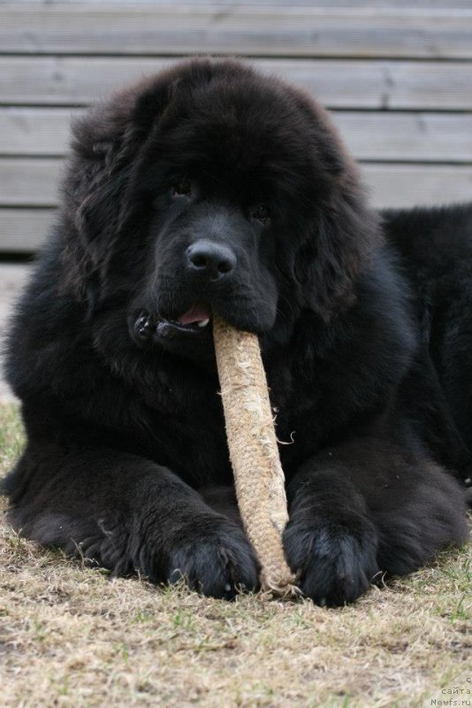 Фотография № 123758