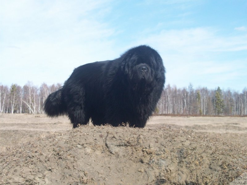 Фотография № 123761