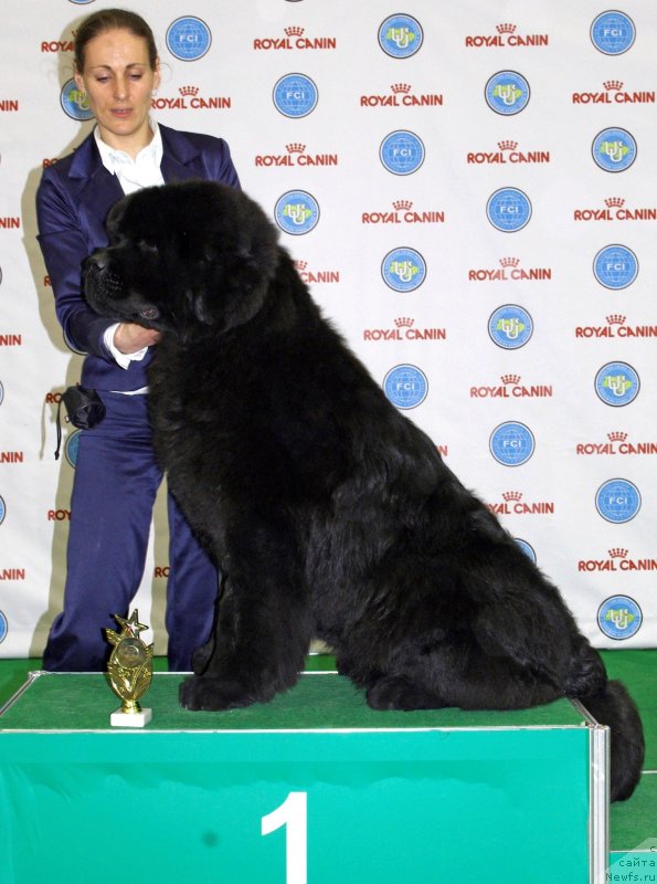 Фотография № 123779