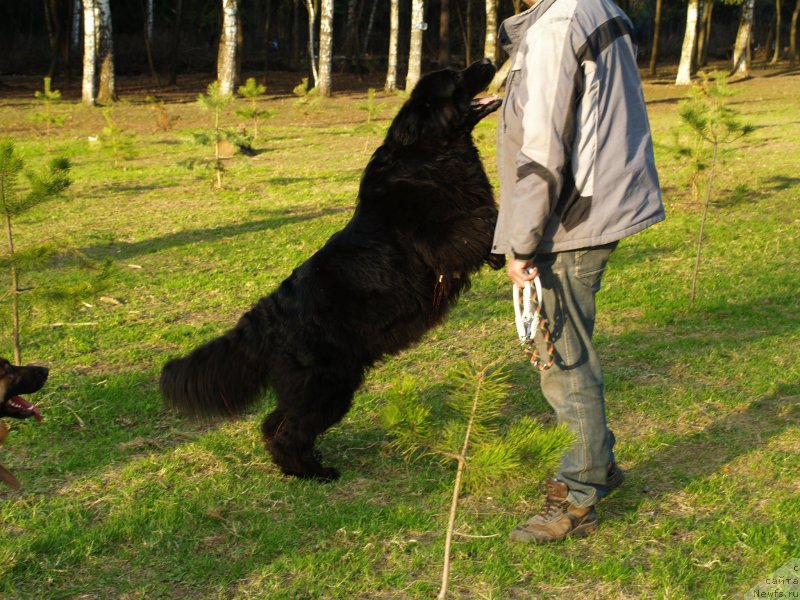 Фотография № 123807