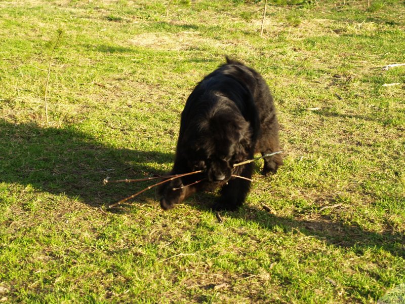 Фотография № 123809