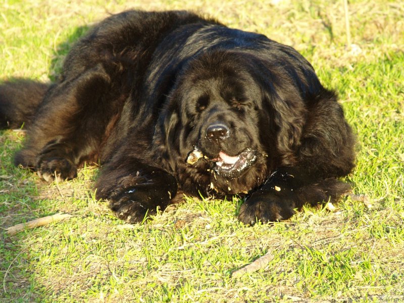 Фотография № 123811