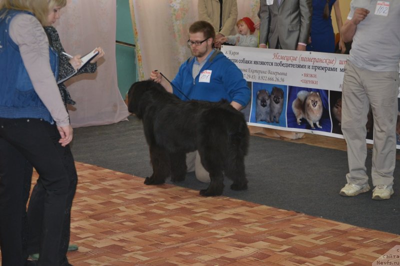 Фотография № 123818