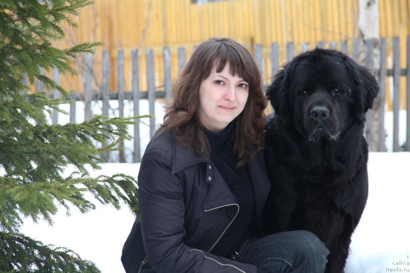 Фото: ньюфаундленд Уютная Долина Блэк Даймонд Велинда (Uyutnaya Dolina Black Diamond Velinda), Екатерина Дмитриева