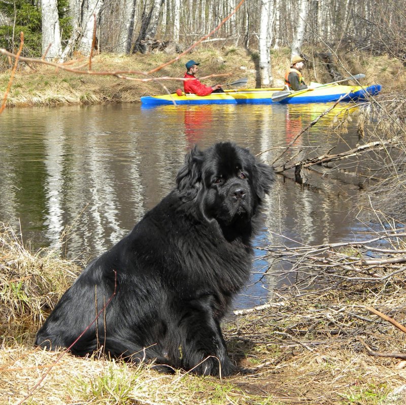 Фотография № 123873