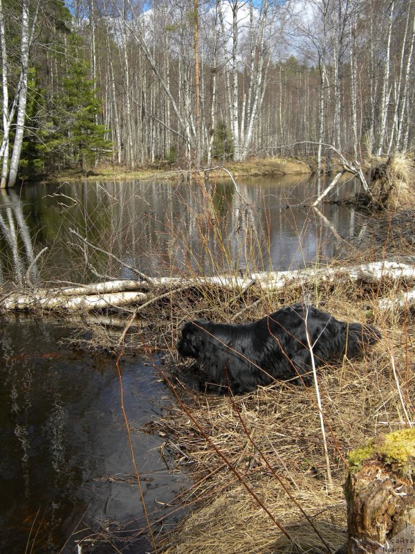 Фотография № 123874